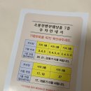 소풍투어 이미지