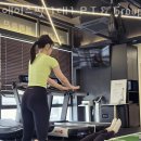 에이스핏 이미지