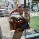 달콘스콘.D 이미지