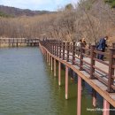 고복자연공원 갈대습지원 이미지