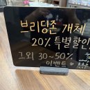 게코스팟 | 보스게코 크레스티드게코 분양 후기 화이트스팟 고퀄 개체 직접 데려왔어요 (도마뱀 사진있음주의!)