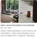 반스힐리조트 - 5876 | 반스힐리조트