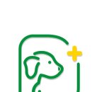 굿데이동물병원 | 성남 정자동 동물병원 굿데이 동물병원 위치 오는길 후기