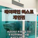 (상반기)인생의 사계절을 만나다 | [2026년 상반기 서울 전시 추천 | 데이미언 허스트 얼리버드 예매 후기] 국립현대미술관 서울 꼭 봐야할...