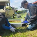 김영태농장 이미지