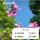 성공을 부르는 명리학 이미지