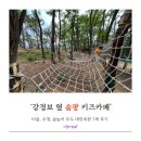 좋은나무숲유치원 | 강정보 옆 ‘솜팡’ - 숲로프,미술,수영(물놀이) 체험이 모두 가능한 체험형 키즈카페, 7세 대만족 후기👍