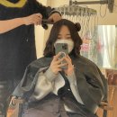 모던나이즈 이미지