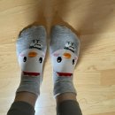 몽니드 | 스팸일지