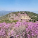 무학산오리하우스 이미지