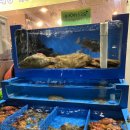 미미회식당 이미지