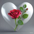 Time - Glen Campbell 이미지