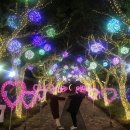 (주)허 브 이미지