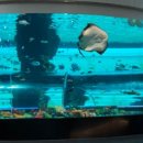 국립해양박물관 이미지