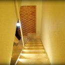 무인텔 나비 이미지