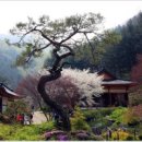 늘 좋은생각 이미지