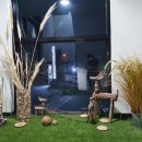 미사로브 이미지