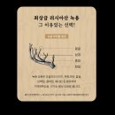 흑삼이야기