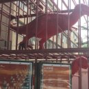 맥도날드포항남부DT점 이미지