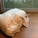 담가화로구이 | [당감동맛집 추천] 점심에도 만석?! 당감동 고깃집 담가화로구이 솔직 후기