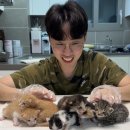 포캣(for cat) 이미지