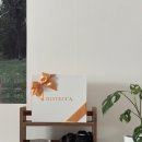 비스테까현대백화점무역 | 7월의 소비 (비스테까티라미수, 라치우드 엔드그레인 도마, 비프로젝트 두피앰플, 온오프로그 텀블러)