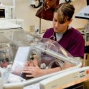 의료법인 옐림의료재단 이미지