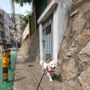 고득영동물병원 이미지