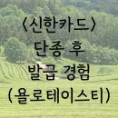 신한카드 단종 후 앱카드 발급 및 상테크 후기 (욜로테이스티)