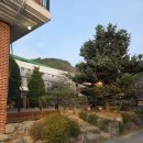 명가오리 | 김해 오리 맛집 추천, 허왕후 오리명가 가게회식 후기 🦆✨