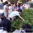 신일초교 이미지