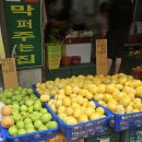 시장과일 - 포항시 남구 장기로 1694 | 시장과일
