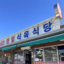 영일식육식당 - 광산구 삼도로 364 | 영일식육식당