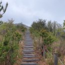 청량농협하나로마트율리지점 | 울산 문수산 등산로 안내 및 리뷰
