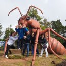 내촌초교 이미지