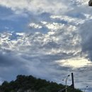 동천가든식육식당 | 목포 맛집 등대식육식당 싱싱한고기 내돈내산 후기 리뷰