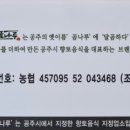 너울숲 이미지