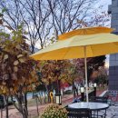 몰래멍냥 이미지