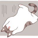 고양이호텔 묘랑묘랑 이미지