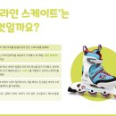 원더짐