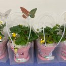 남양주월산초등학교(병설) 이미지