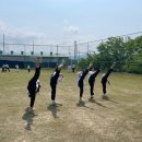 강서비룡태권도 이미지