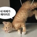 카페봄봄수성못점 | 26년 2월 2주차