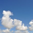 분당정자 동물병원 이미지