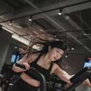 피스트짐 이미지