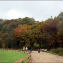 화음목장 이미지