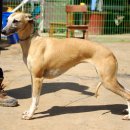 대구농장 이미지