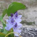 팔월펜션 이미지