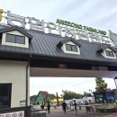 안성(서울) | 안성팜랜드 평일 방문 후기｜서울 근교 핑크뮬리 명소 &amp; 승마체험 가족 나들이