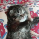 밥상스토리 이미지